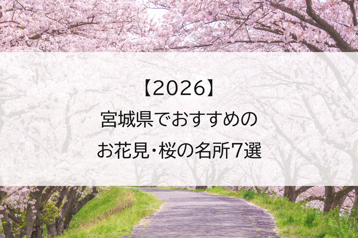 【2026】宮城県でおすすめのお花見・桜の名所7選