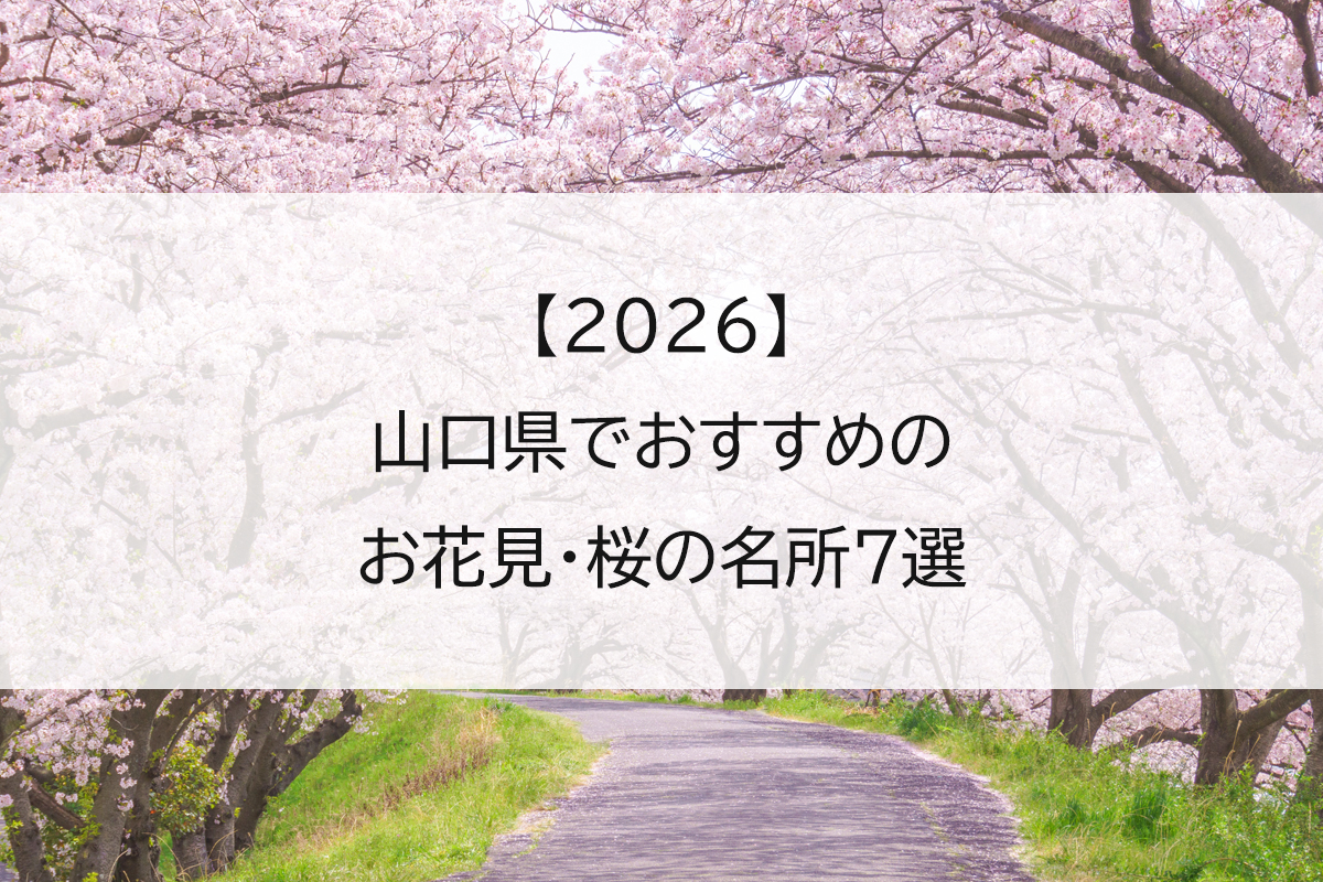 【2026】山口県でおすすめのお花見・桜の名所7選
