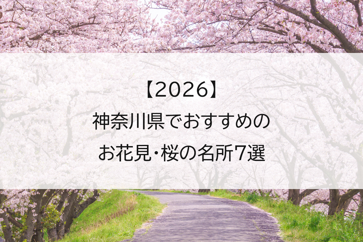 【2026】神奈川県でおすすめのお花見・桜の名所7選