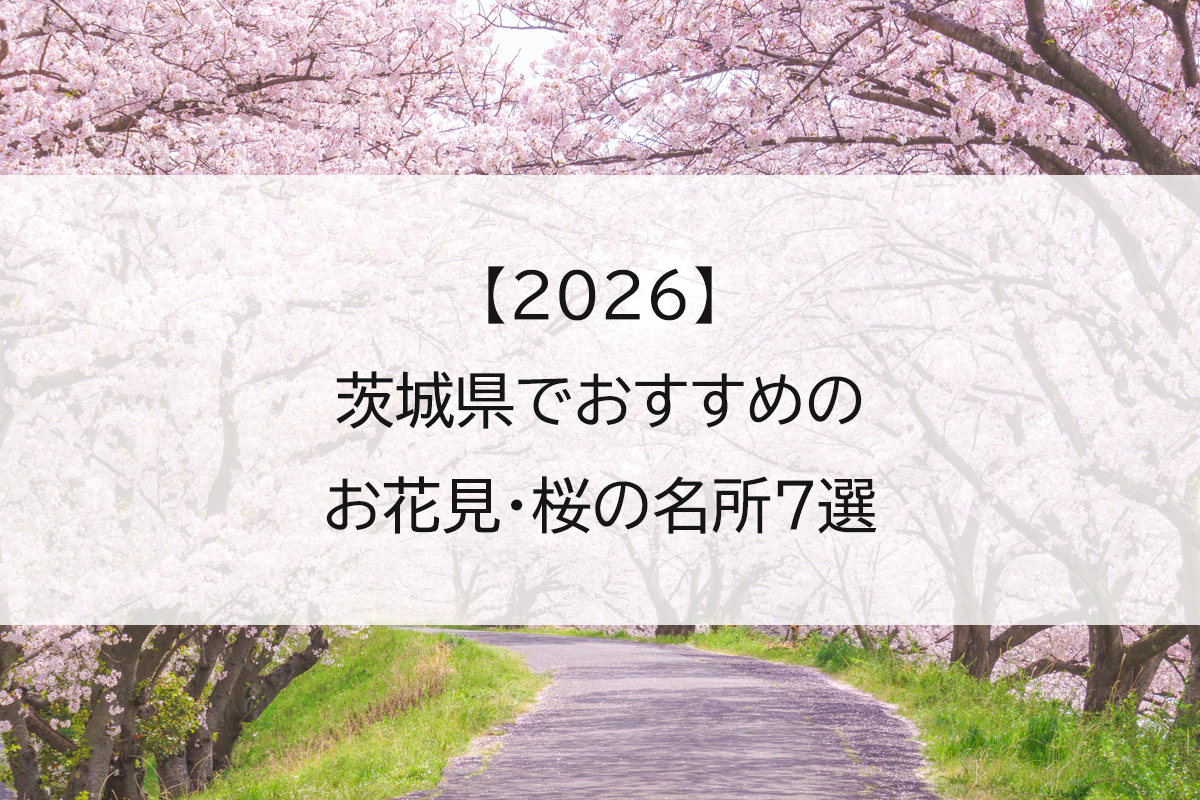 【2026】茨城県でおすすめのお花見・桜の名所7選