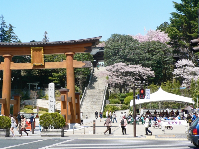 宇都宮市の二荒山神社と桜