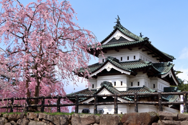 弘前公園の桜