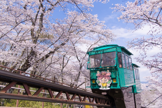 船岡城址公園の桜