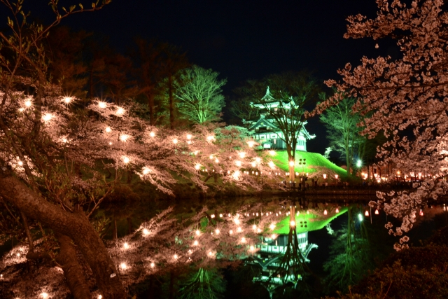 高田城址公園の夜桜ライトアップ