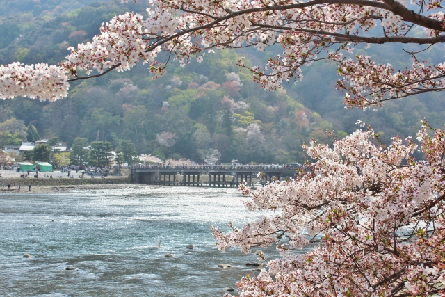 嵐山・渡月橋の桜