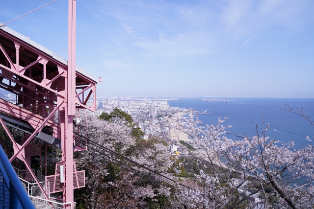須磨浦山上遊園の桜