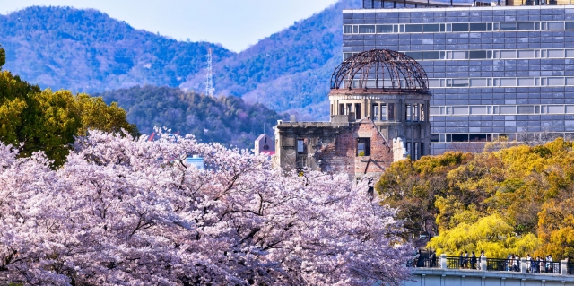 平和記念公園の桜