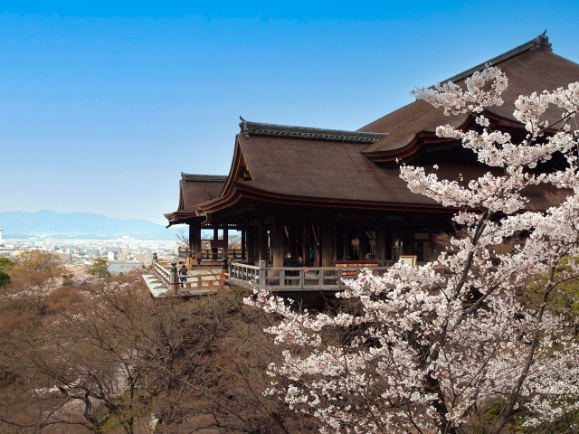 清水寺の桜