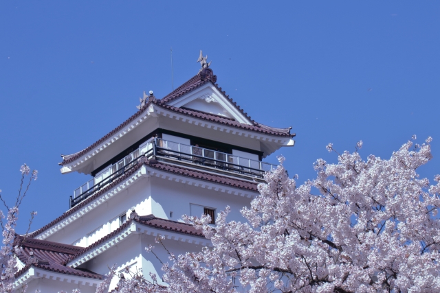 鶴ヶ城と桜