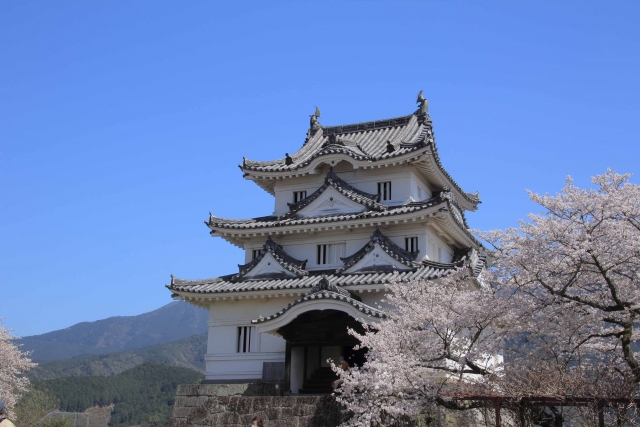 宇和島城と桜