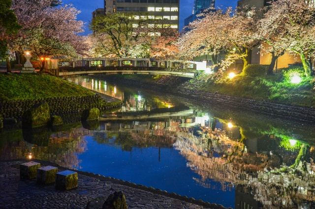 松川べりの夜桜ライトアップ
