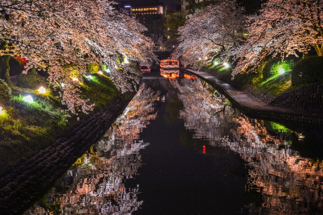 松川べりの夜桜ライトアップ
