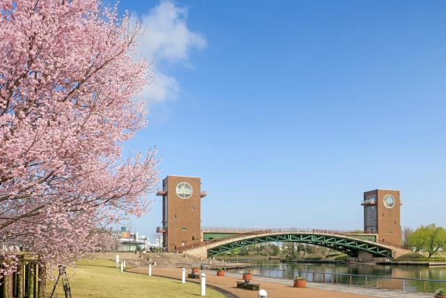 富岩運河環水公園の桜