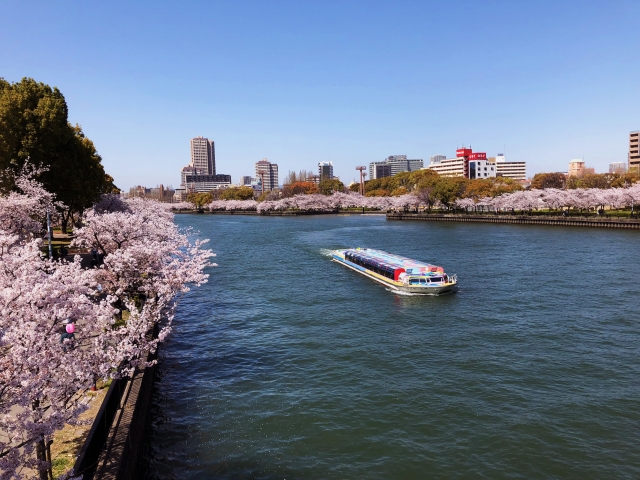 大阪の大川沿いの桜並木
