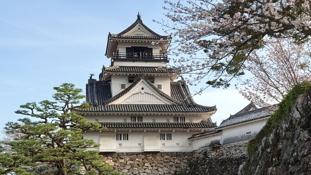 高知城と桜