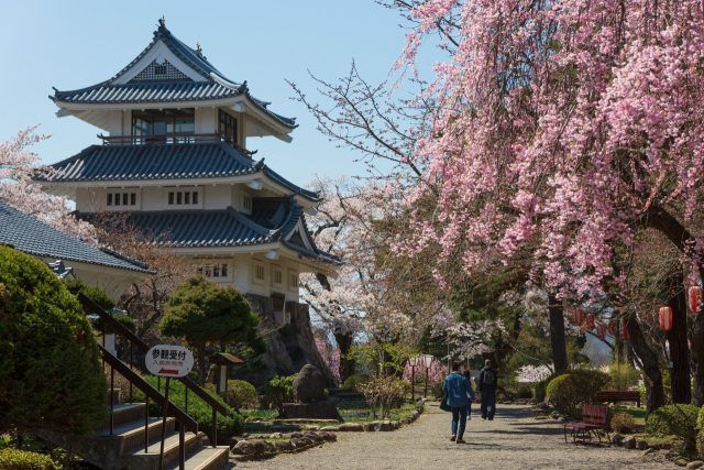 城山公園・三戸城跡の桜