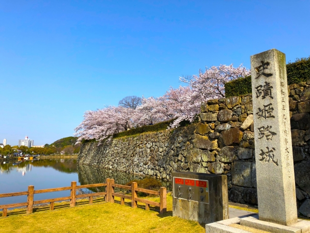 姫路城と桜