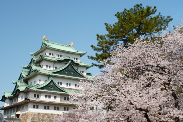 名古屋城と桜