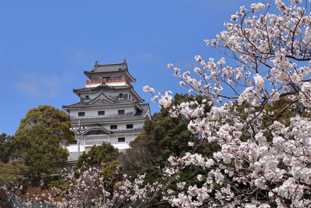 唐津城と桜