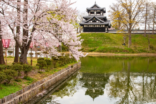 高田城址公園の桜