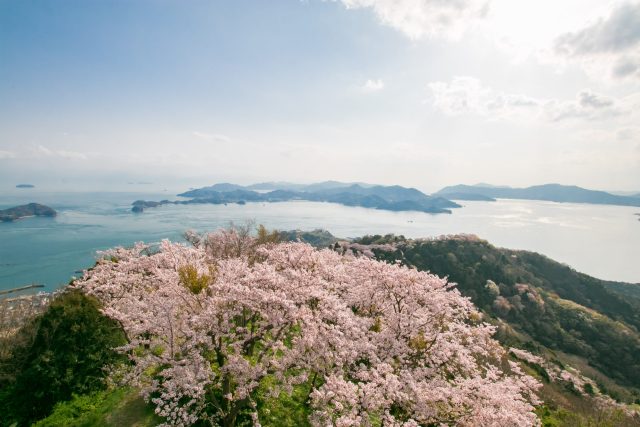 積善山三千本桜