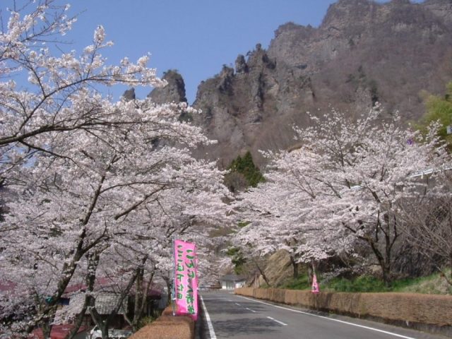 妙義神社・県立森林公園さくらの里